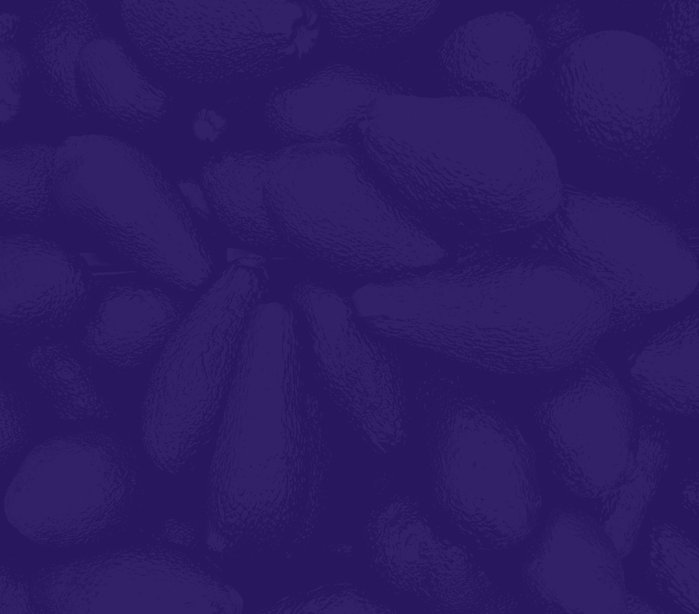 Zdjęcie tła rozwoju aplikacji